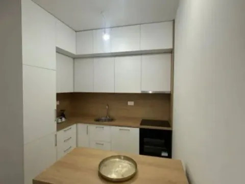 Izdavanje, jednosoban stan, 48m², Zabjelo, Podgorica