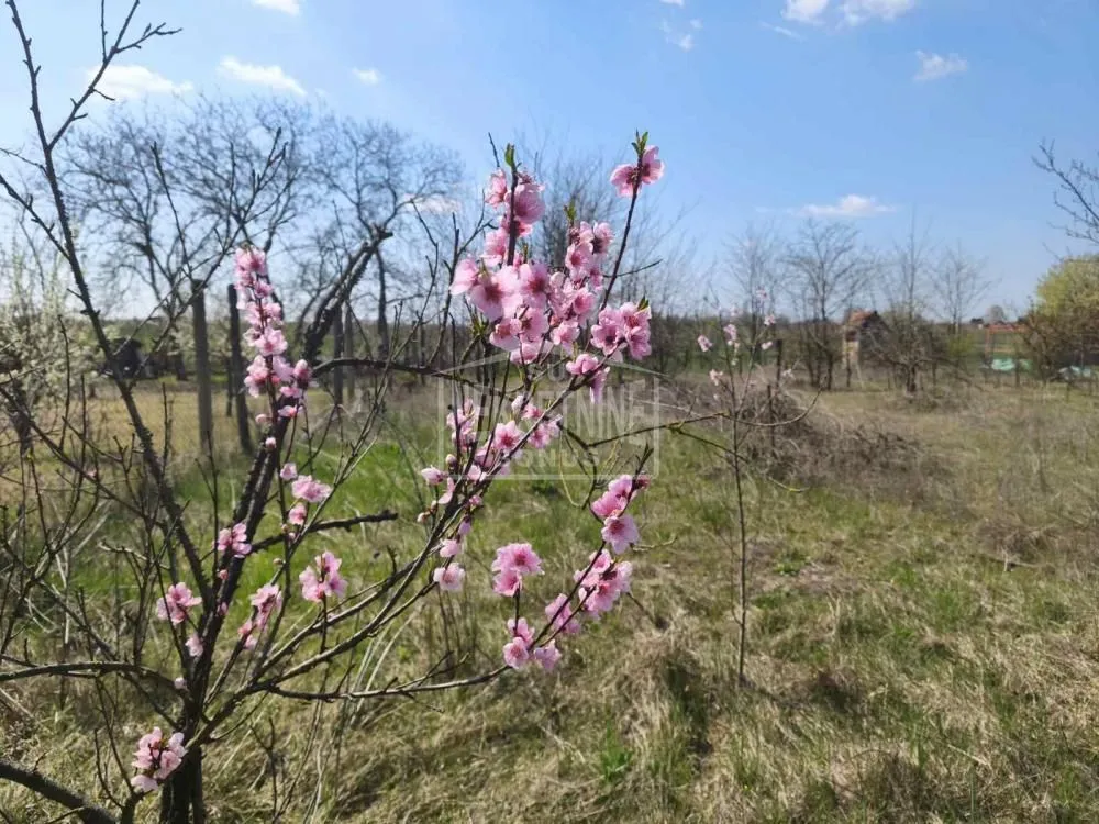 Prodaja, plac, 1400m², Kelebija, Subotica