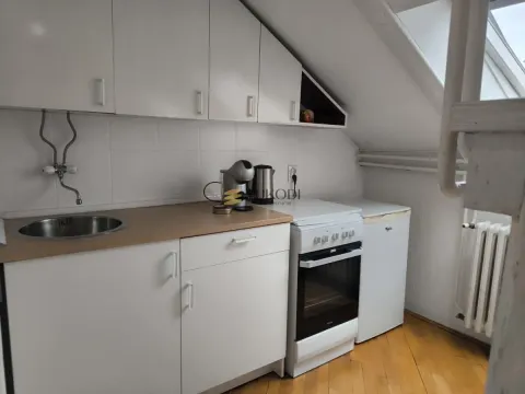 Izdavanje, jednosoban stan, 45m², Botanička Bašta, Palilula Sve Podlokacije - image 9