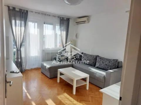 Izdavanje, dvosoban stan, 47m², Južni Bulevar, Vračar Sve Podlokacije - image 2