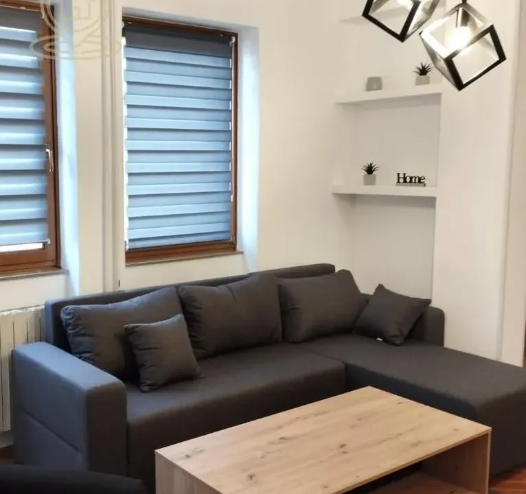 Izdavanje, dvosoban stan, 45m², Centar, Novi Sad