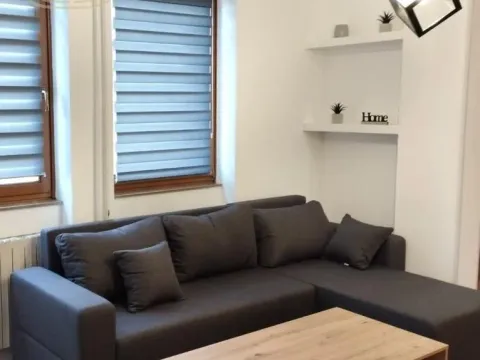 Izdavanje, dvosoban stan, 45m², Centar, Novi Sad