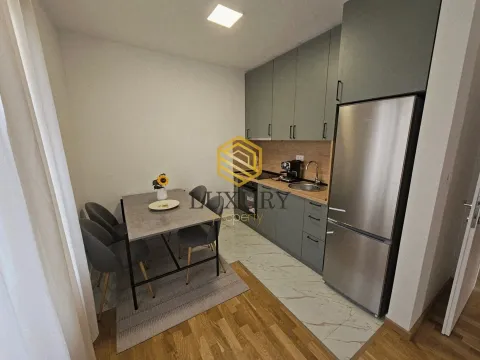 Izdavanje, jednosoban stan, 47m², Zagorič, Podgorica - image 7