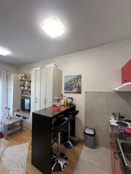Sale, studio apartment, 26m², Zabjelo, Podgorica - image 4