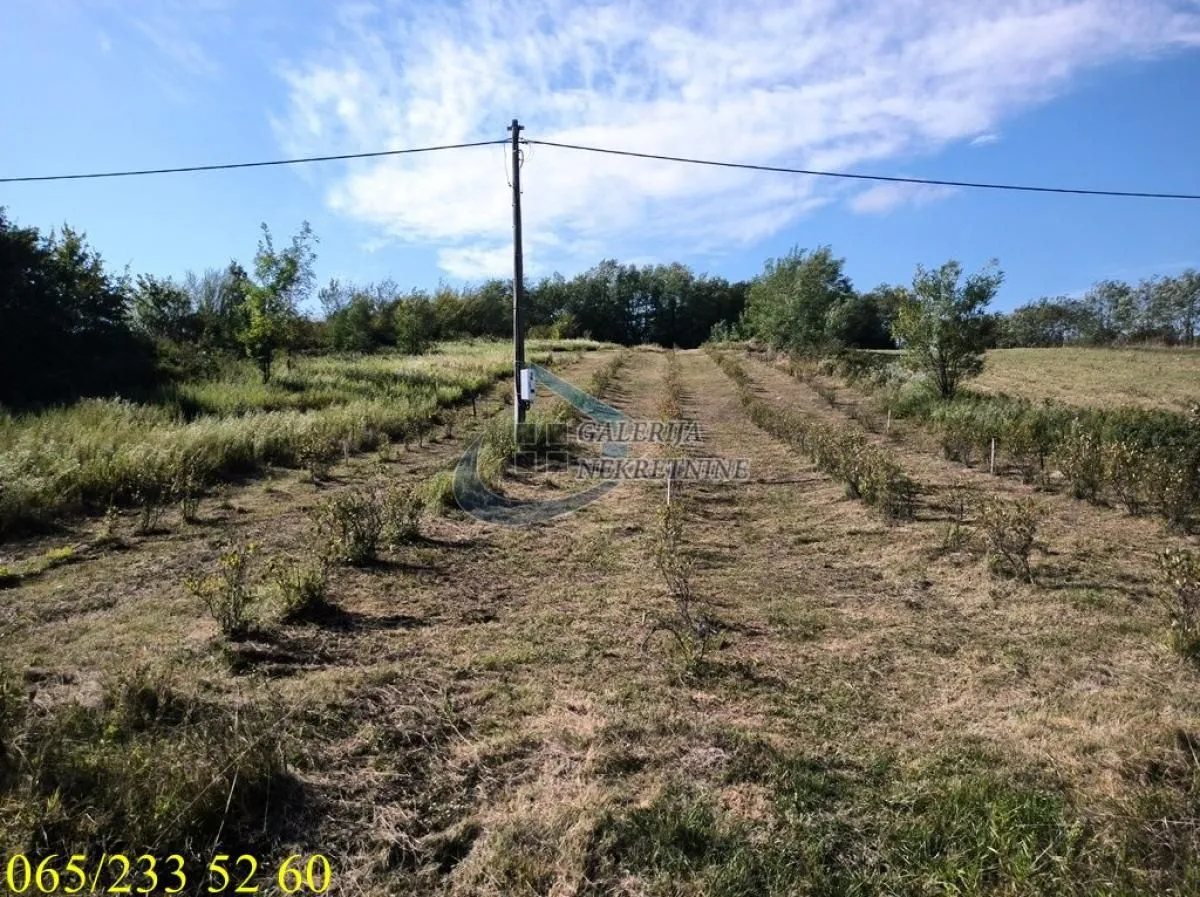 Prodaja, plac, 20500m², Sopot, Beograd