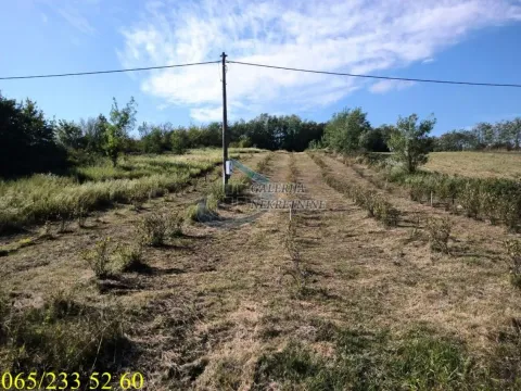 Prodaja, plac, 20400m², Sopot, Beograd - image 10