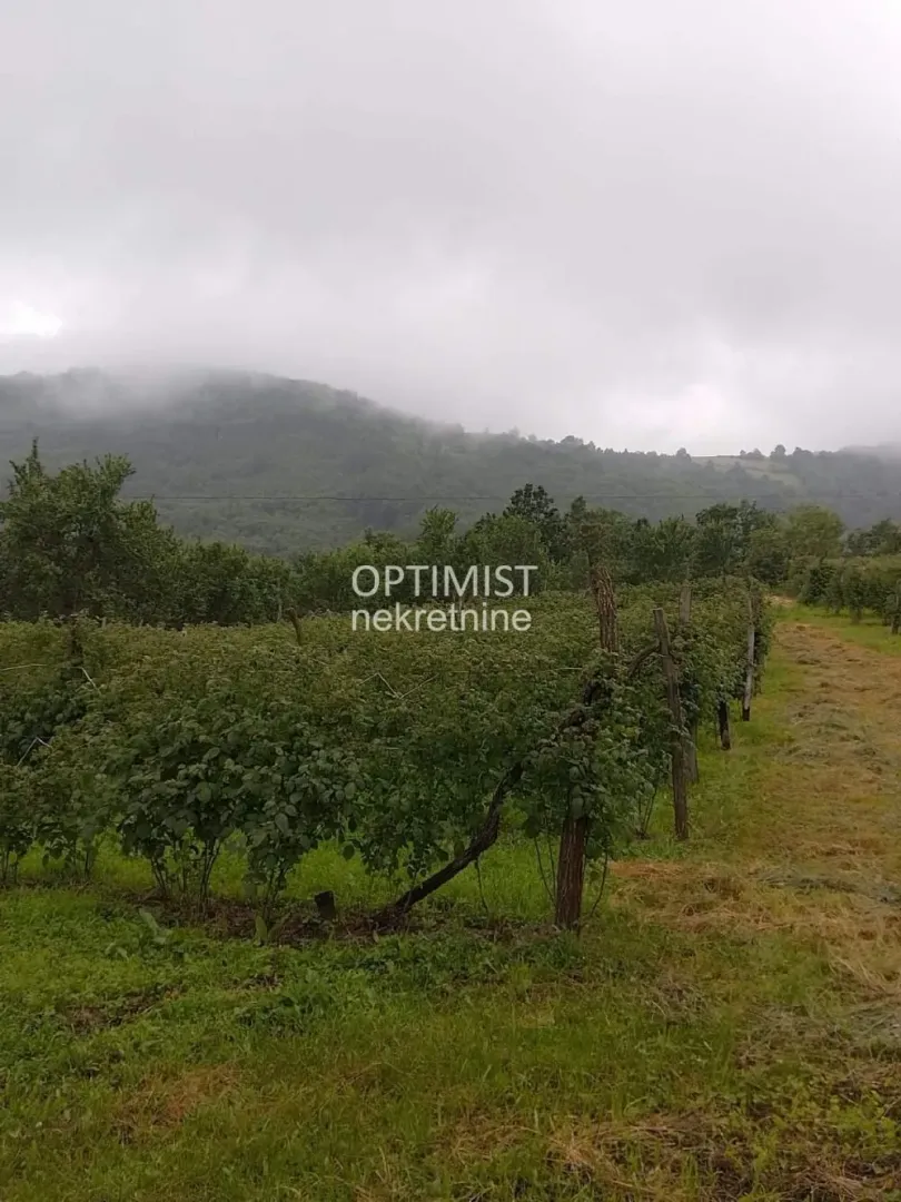 Pogled na zeleno dvorište i okolne planine.