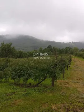 Pogled na zeleno dvorište i okolne planine. - image 6