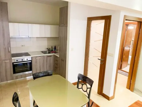 Izdavanje, jednosoban stan, 58m², Centar, Podgorica - image 3