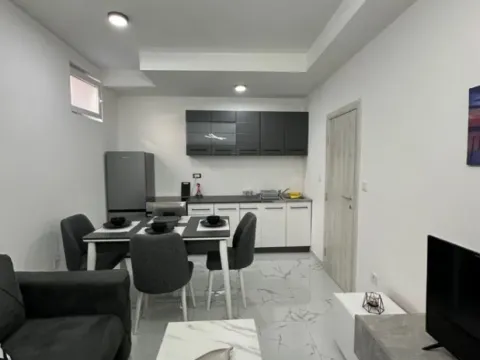 Prodaja, jednosoban stan, 44m², Zabjelo, Podgorica - image 9