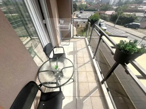 Rent, one bedroom apartment, 54m², Zabjelo, Podgorica - image 11