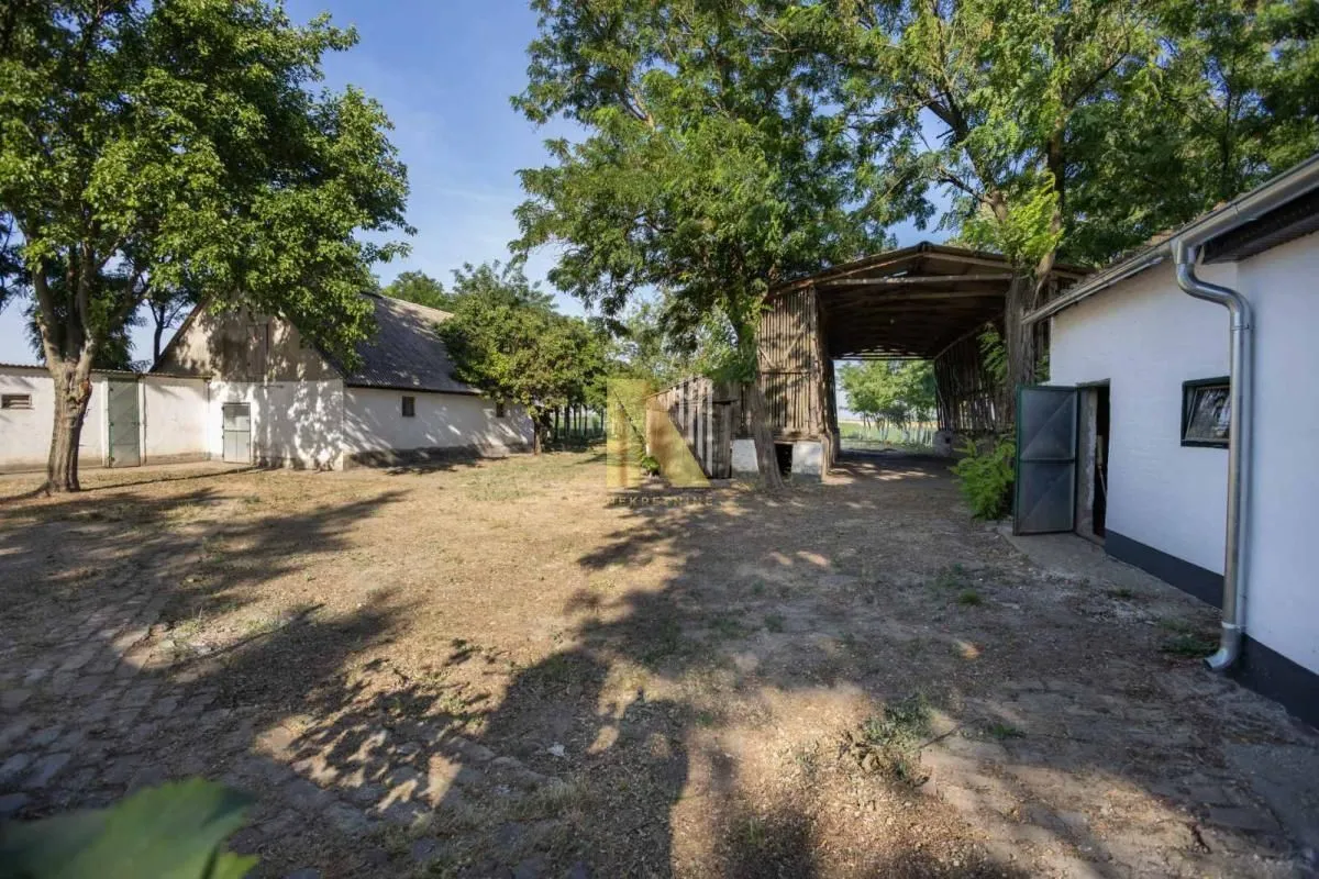 Prodaja, kuća, 275m², Srbobran, Novi Sad