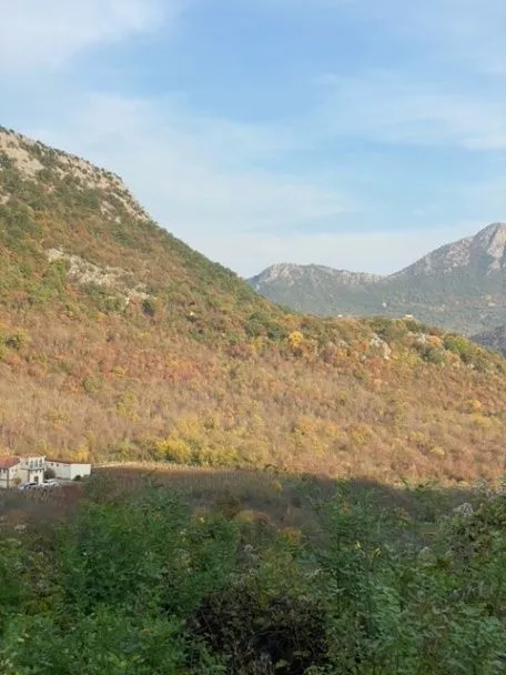 Prodaja, plac, 7000m², Sotonići, Bar