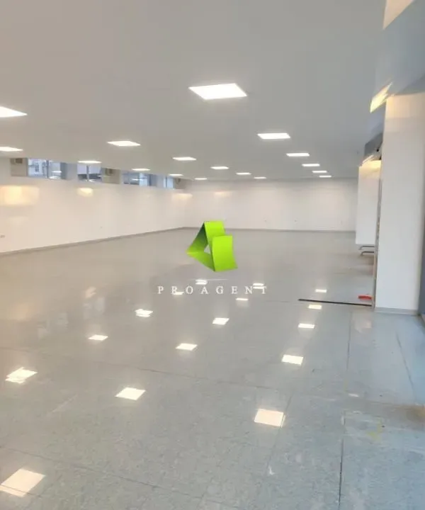 Izdavanje, poslovni prostor, 508m², Medijana, Niš