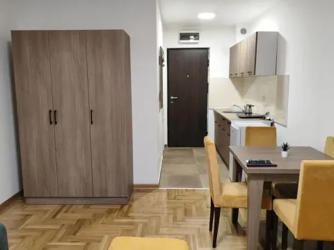 Izdavanje, dvosoban stan, 45m², Bogoslovija, Palilula Sve Podlokacije - image 4