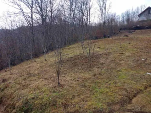 Prodaja, plac, 800m², Rakonje, Bijelo Polje - image 3