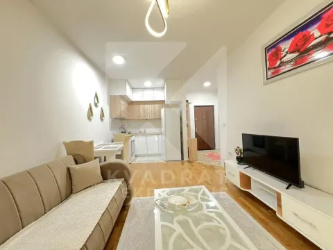 Rent, one bedroom apartment, 39m², Stari Aerodrom, Podgorica - image 2