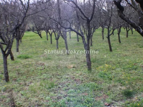 Prodaja, plac, 2100m², Inđija, Srbija - image 4