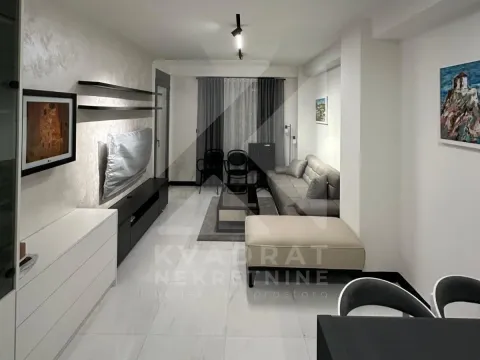 Izdavanje, jednosoban stan, 45m², Zagorič, Podgorica - image 7