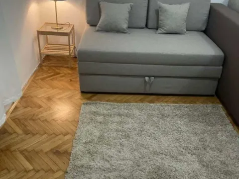 Izdavanje, jednosoban stan, 37m², Vračar Hram, Vračar Sve Podlokacije - image 10