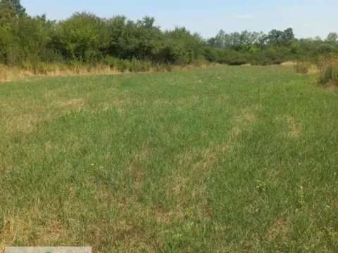 Prodaja, plac, 9000m², Brgule, Ub - image 5