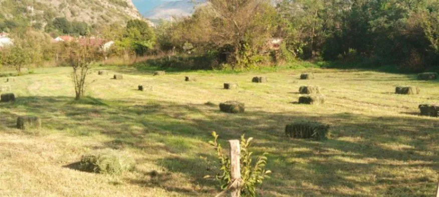 Sale, land lot, 1000m², Spuž, Danilovgrad