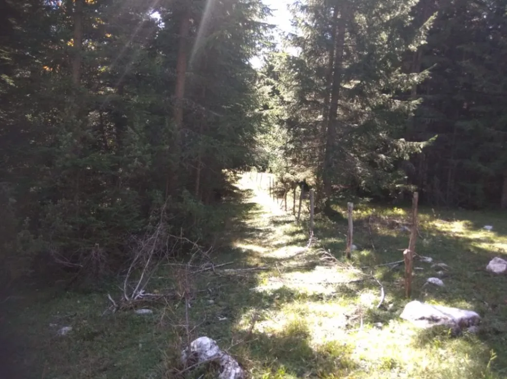 Prodaja, plac, 17803m², Podgora, Žabljak