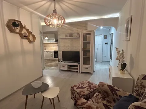 Izdavanje, jednosoban stan, 40m², Blok 5, Podgorica - image 2