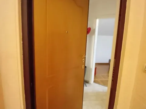 Izdavanje, jednosoban stan, 55m², Preko Morače, Podgorica - image 7