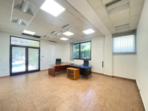 Izdavanje, poslovni prostor, 54m², Ljubović, Podgorica - image 5