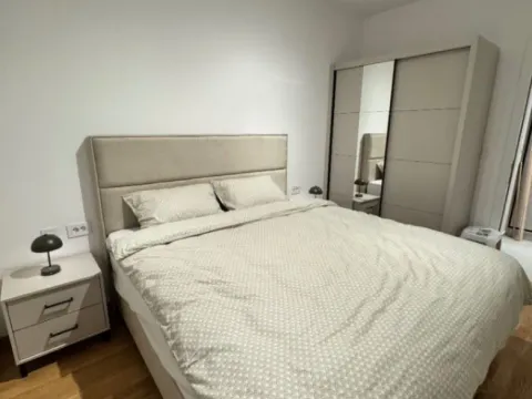 Izdavanje, jednosoban stan, 48m², Stari Aerodrom, Podgorica - image 3