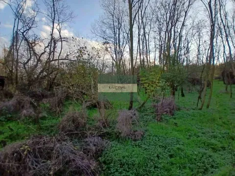 Prodaja, plac, 92300m², Đurđevo brdo, Jagodina - image 7