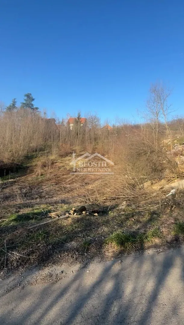 Pogled na plac sa rastinjem i drvećem.