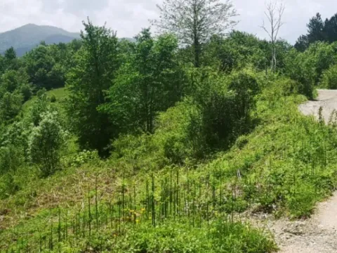 Sale, land lot, 5300m², Bašanje Brdo, Kolašin - image 9