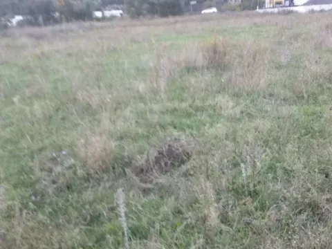 Prodaja, plac, 4202m², Sutorina, Herceg Novi - image 4