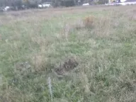 Sale, land lot, 4202m², Sutorina, Herceg Novi - image 4