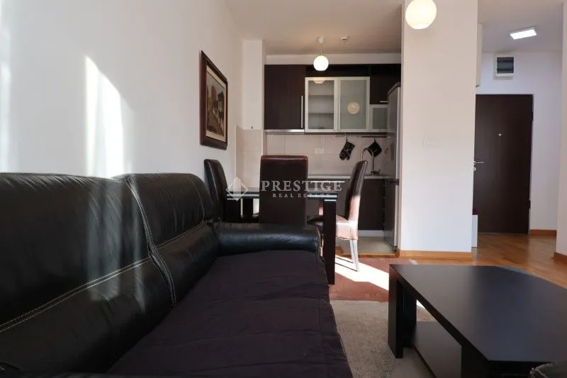 Izdavanje, jednosoban stan, 45m², Zagorič, Podgorica