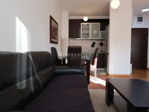 Izdavanje, jednosoban stan, 45m², Zagorič, Podgorica - image 4