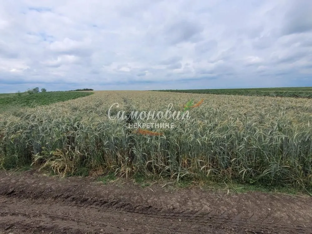 Prodaja, plac, 2200m², Zemun Ugrinovci, Zemun Sve Podlokacije