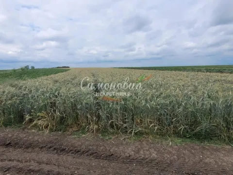 Prodaja, plac, 2200m², Zemun Ugrinovci, Zemun Sve Podlokacije - image 4