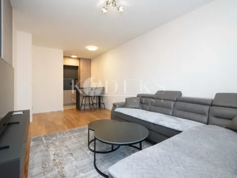 Rent, one bedroom apartment, 47m², Central Point, Podgorica - image 2