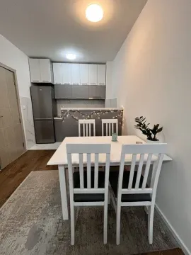 Rent, one bedroom apartment, 45m², Ljubović, Podgorica - image 7