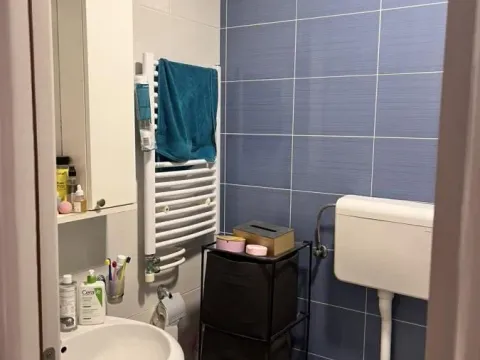 Rent, one bedroom apartment, 40m², Grbavica, Novi Sad Sve Podlokacije - image 12