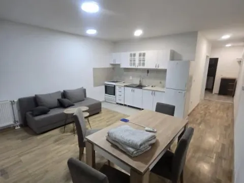 Prodaja, jednosoban stan, 42m², Adice, Novi Sad Sve Podlokacije - image 1