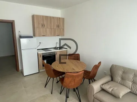 Izdavanje, stan, 25m², Centar, Podgorica - image 4