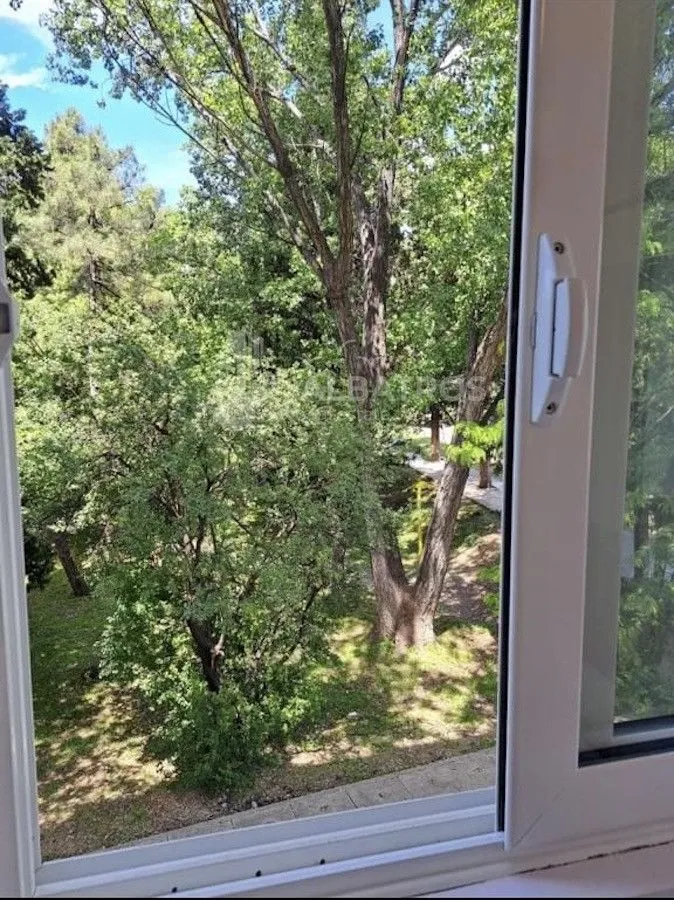 Pogled kroz prozor na zeleno dvorište i drveće.