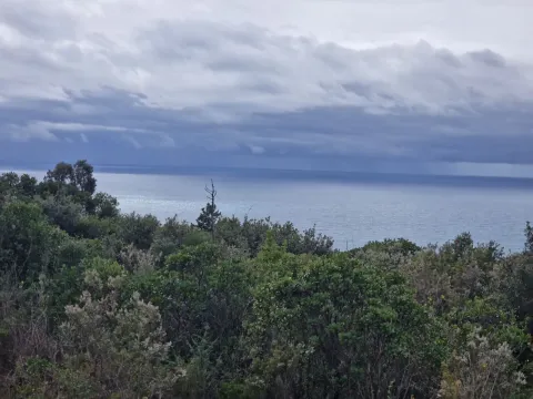 Prodaja, plac, 5000m², Zagora, Kotor - image 5