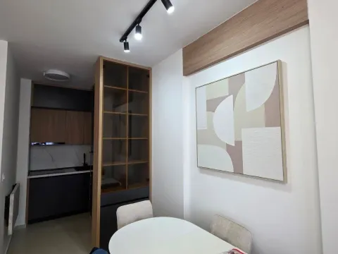 Rent, one bedroom apartment, 44m², Stari Aerodrom, Podgorica - image 1