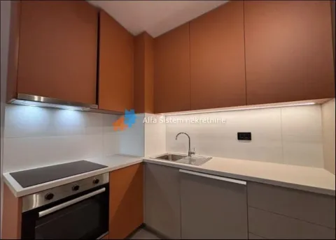 Izdavanje, dvosoban stan, 60m², Hala Pionir, Palilula Sve Podlokacije - image 6