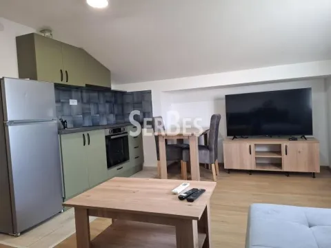 Izdavanje, jednosoban stan, 40m², Adice, Novi Sad Sve Podlokacije - image 3